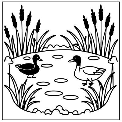 A black duck and a white duck stand by a small pond, surrounded by grass and reeds, with ripples on the water's surface. Fall coloring pages.